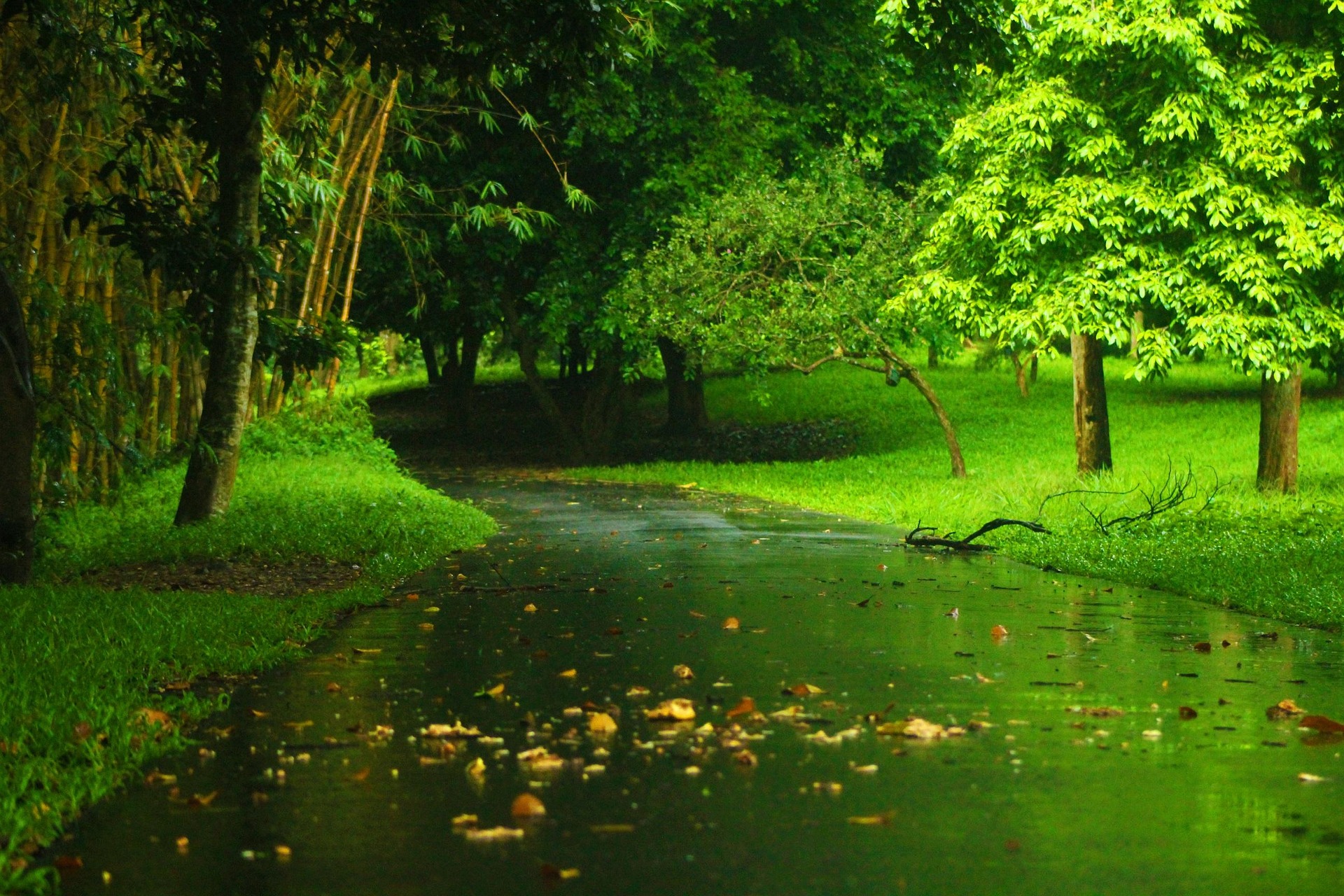 Banner 2